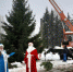 Праздник к нам приходит! В Клетне поставили главную ёлку - Газета Новая жизнь